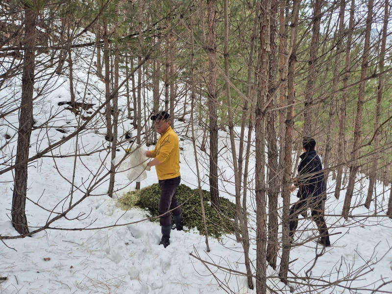 [크기변환]1. 사진자료 - 2025년 산양 먹이주기2.jpeg