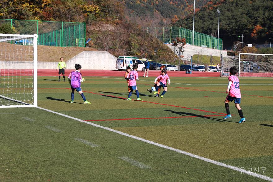 file_1773291598.jpg
