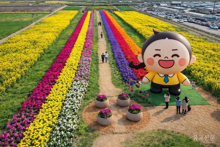 [크기변환]2. 사진자료 - 삼척맹방유채꽃축제.jpg