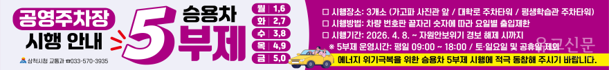 [크기변환]2. 사진자료 - 공영주차장 5부제.png